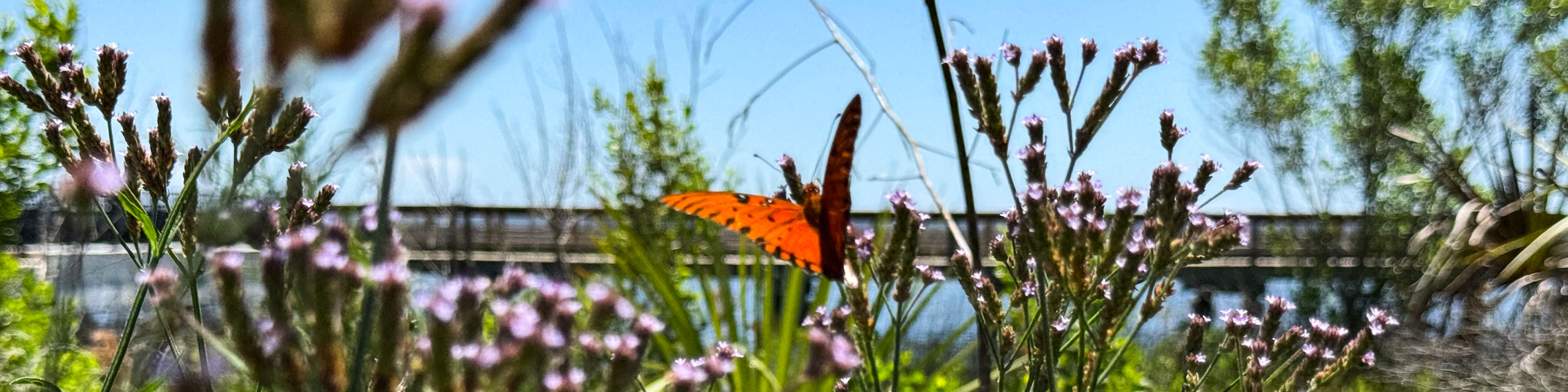 Best of Bryan County, Community Nature
