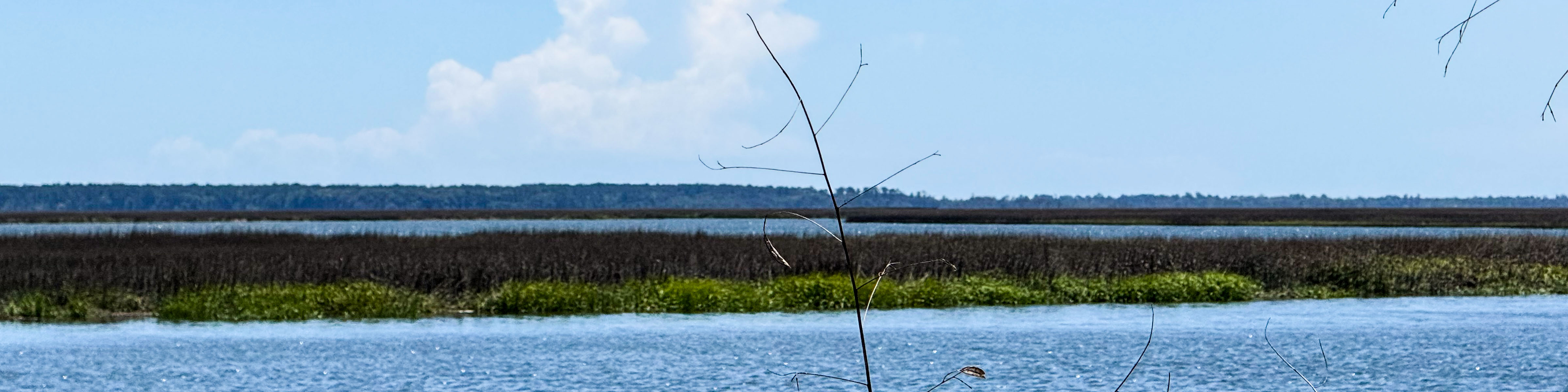 Best of Bryan County, Coastal Landscape